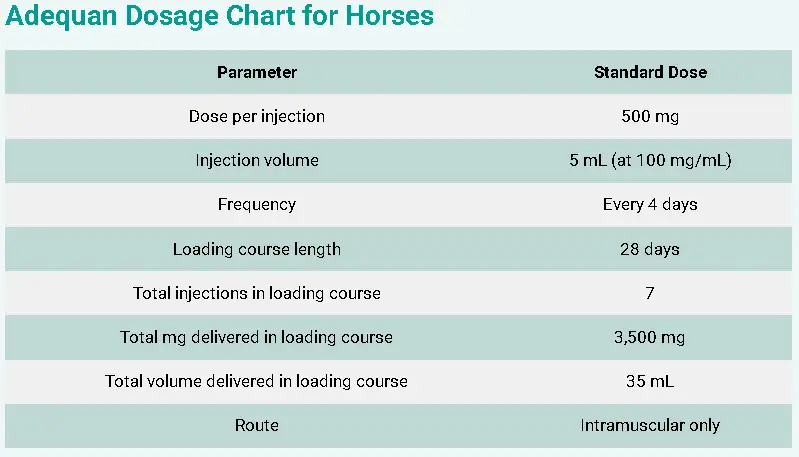 Adequan Dosage Chart for Horses