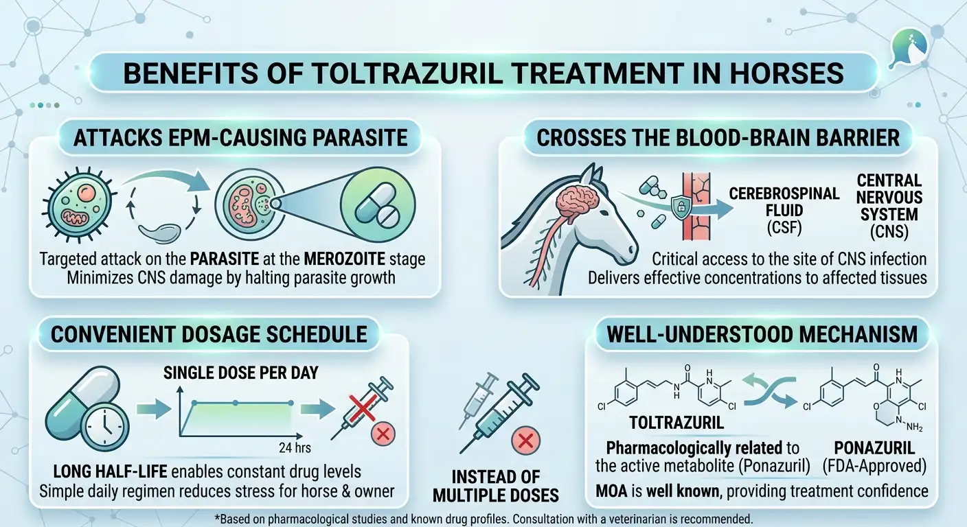 Toltrazuril Dosage For Horses: Calculator, Chart & Safe Guide 3 Benefits of Toltrazuril Treatment