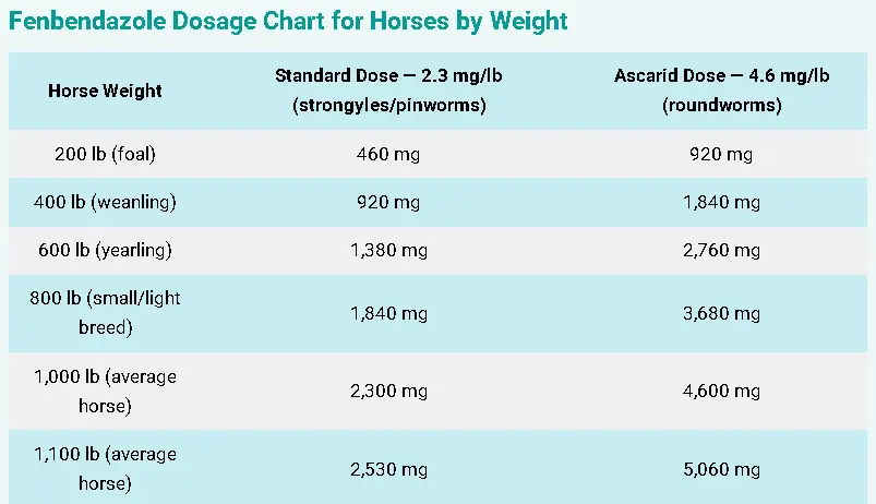 Fenbendazole Dosage For Horses: Calculator, Chart & Safe Guide 4 Fenbendazole Dosage Chart for Horses by Weight