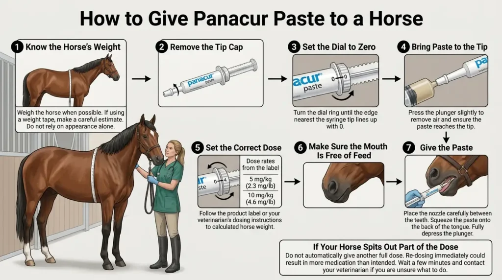 Panacur Dosage For Horses: Calculator, Chart & Safe Guide 2 How to Give Panacur Paste to a Horse (Step-by-Step)