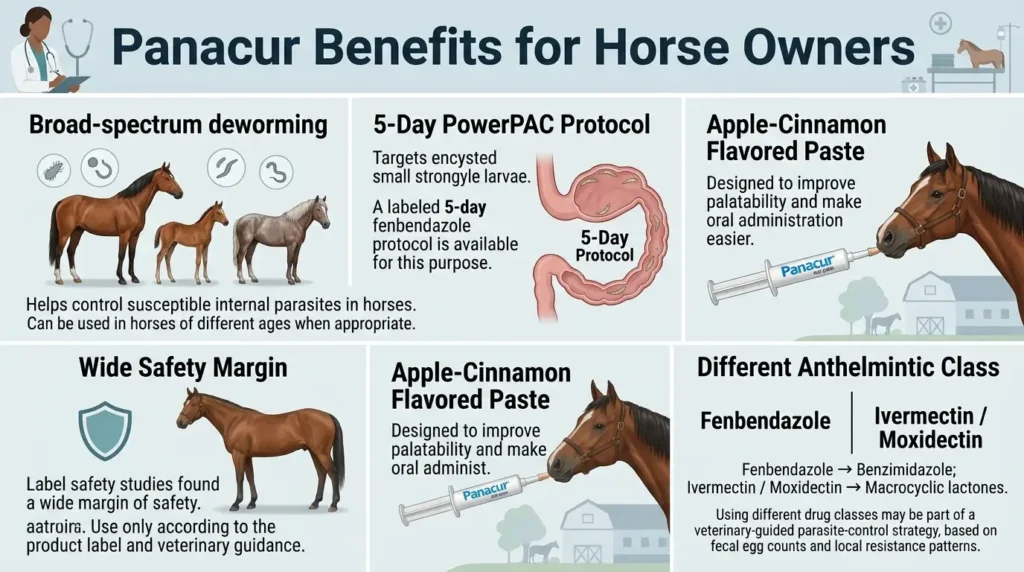 Panacur Dosage For Horses: Calculator, Chart & Safe Guide 3 Panacur Benefits for Horse Owners