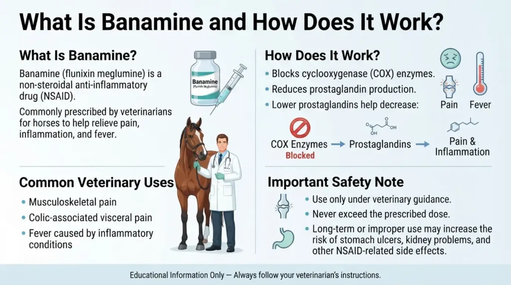 What is Banamine Dosage for Horses and How Does It Work
