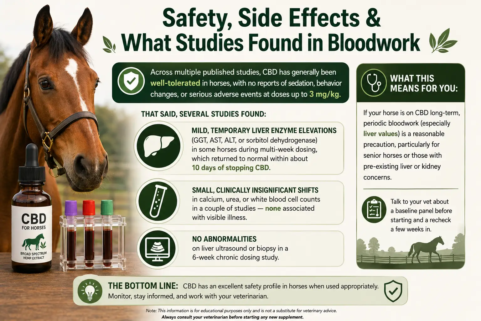 CBD Dosage for Horses: Dosing Chart, Calculator & Guidelines 4 CBD Safety, Side Effects & What Studies Found in Bloodwork