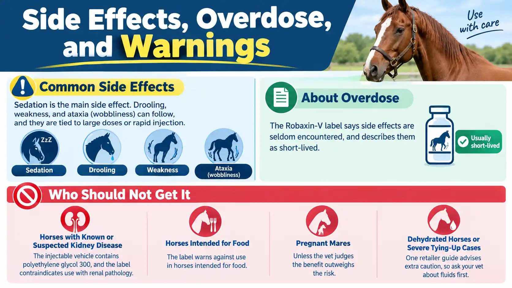 Methocarbamol for Horses: Dosage Chart, Calculator & Guide 2 Side Effects, Overdose, and Warnings