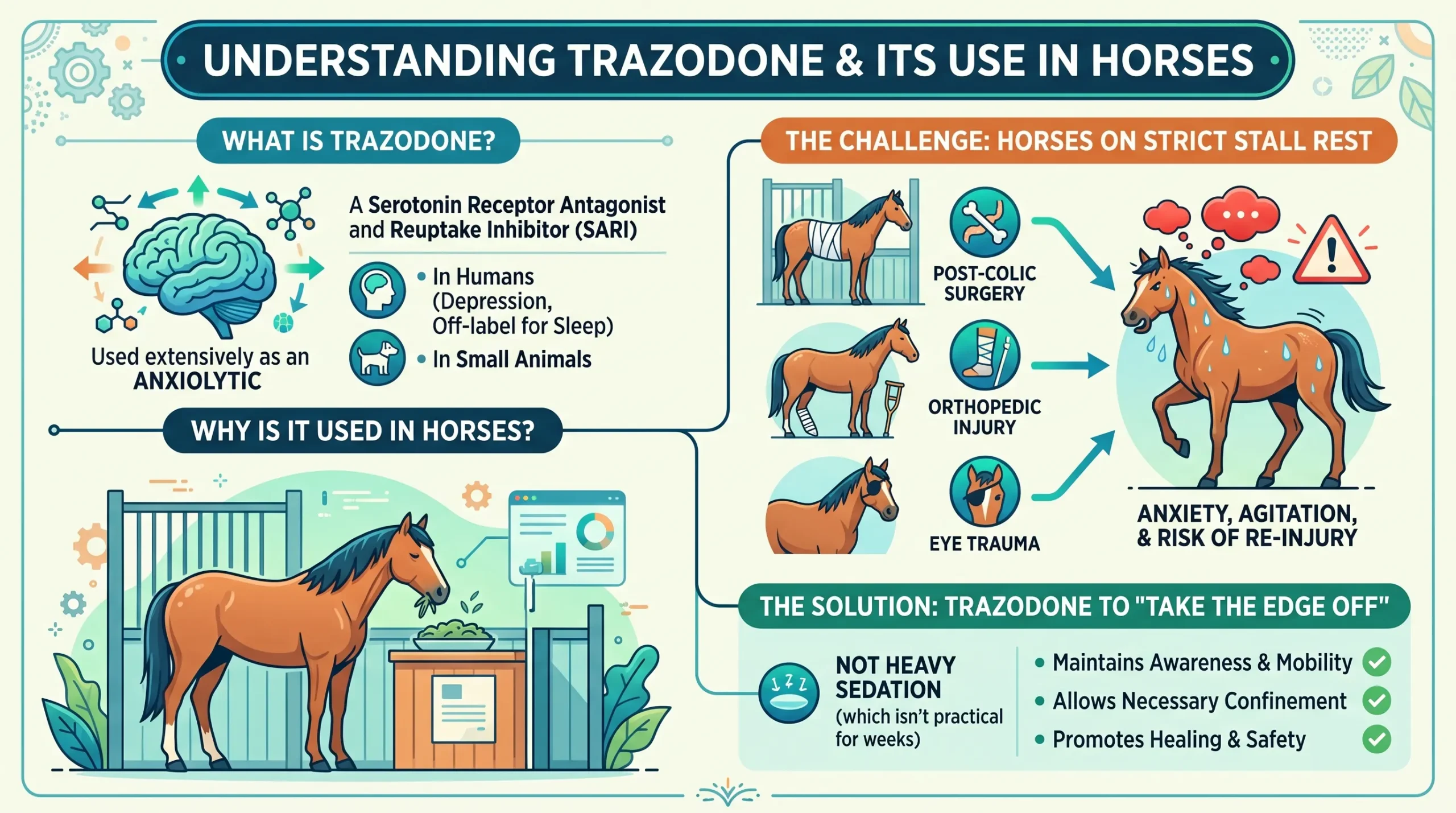 Trazodone For Horses: Dosage Chart By Weight & Calculator 1 What Is Trazodone, and Why Is It Used in Horses