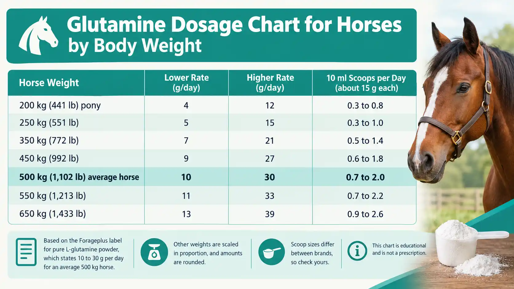 Glutamine Dosage Chart for Horses by Body Weight