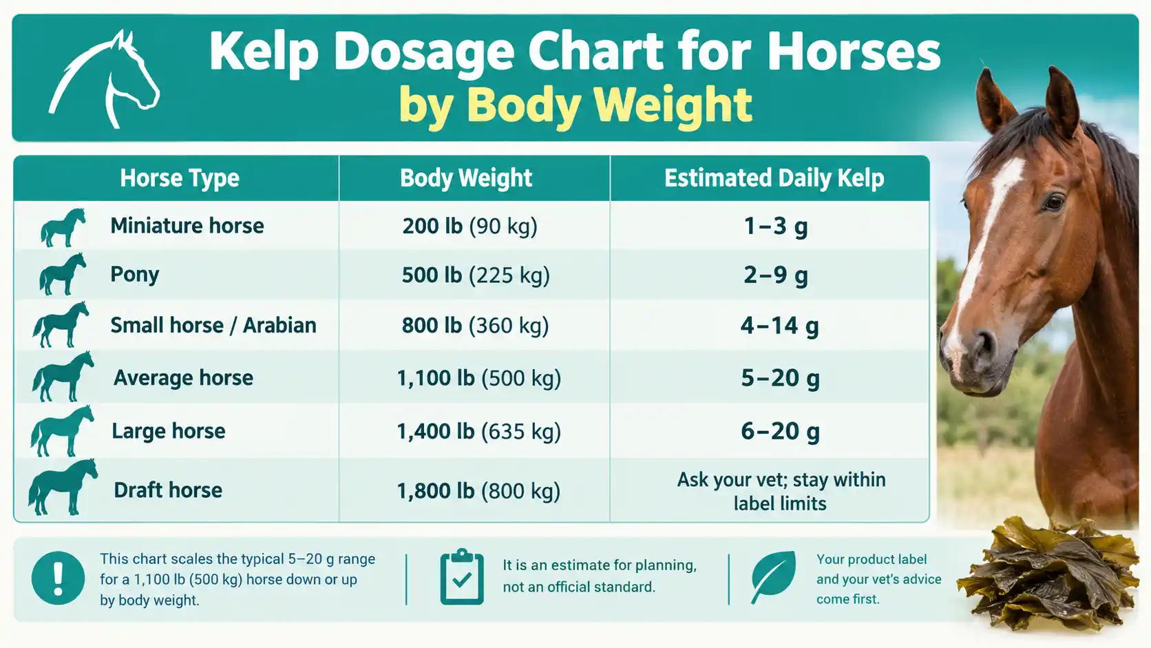 Kelp Dosage Chart for Horses by Body Weight