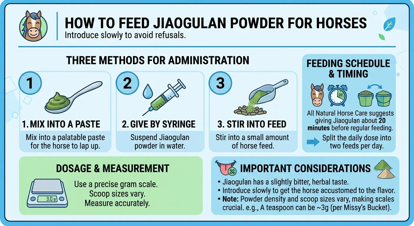 How to Feed Jiaogulan Powder